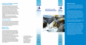 Micropolluants 2013