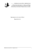 Gewässerstrukturkarte Rhein Begleitbericht