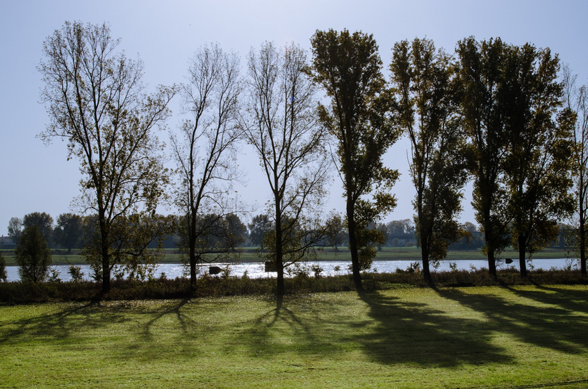 [Translate to English:] 