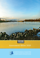 Assessment “Rhine 2020”