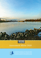 Assessment “Rhine 2020”