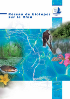 Réseau de biotopes sur le Rhin