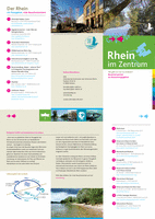 Rhein im Zentrum