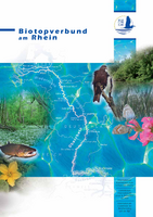 Biotopverbund am Rhein