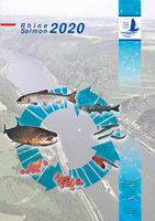 Rhine & Salmon 2020