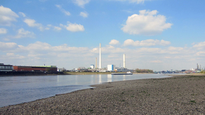 Klimawandel am Rhein